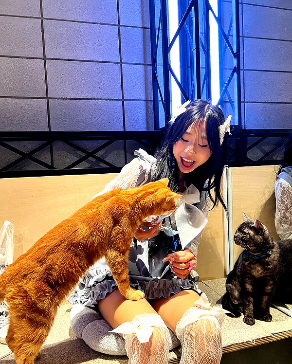 princessamelia_official instagram image archive image