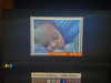 0nlygrlinthewrld Altpins Profile Picture