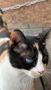 babynympho_archive Altpins Profile Picture
