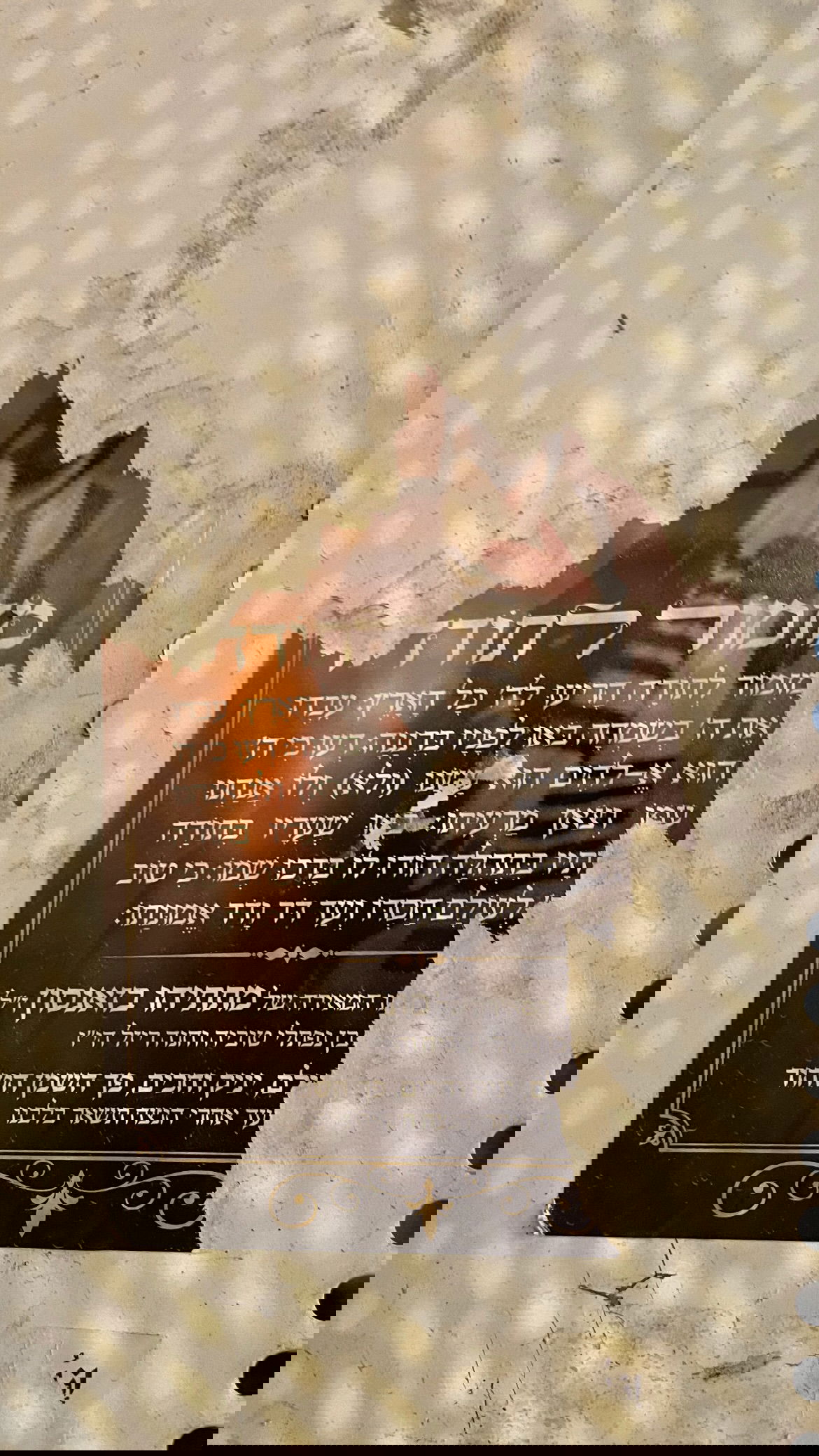 efrat_elmalich instagram image archive image