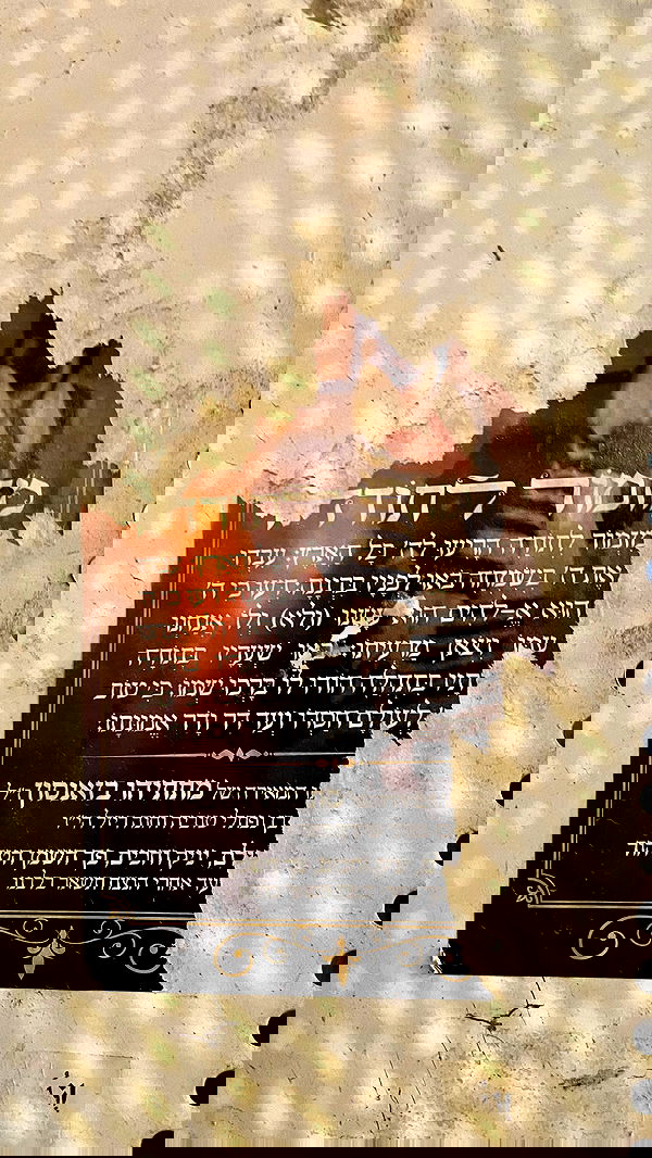 efrat_elmalich image ~ Altpins