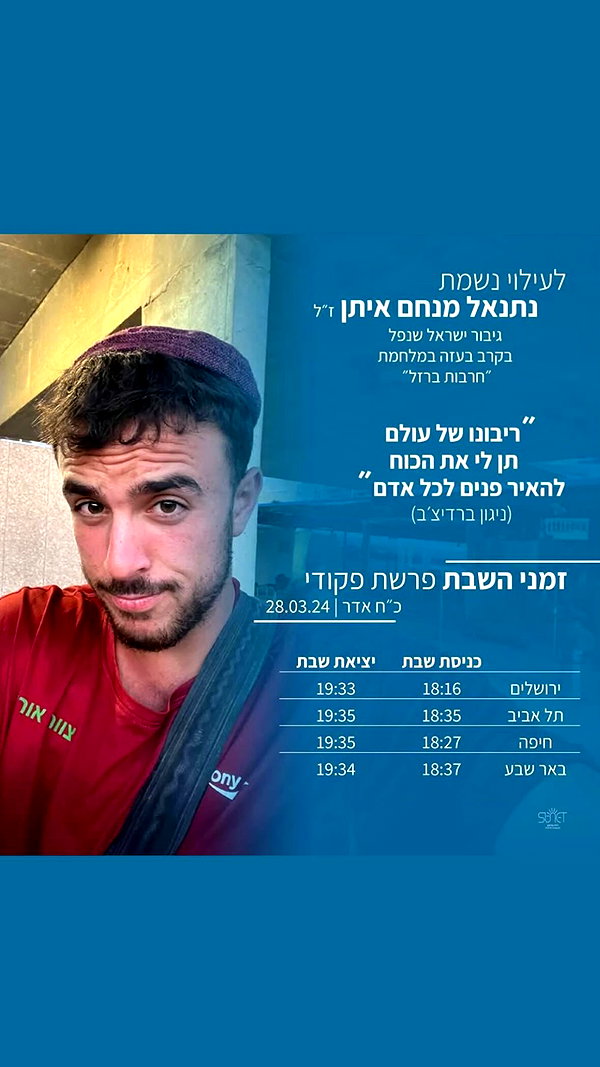 rei.sigalov instagram image archive image