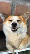 lizrrossi Altpins Profile Picture