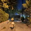 haileylayfield Altpins Profile Picture