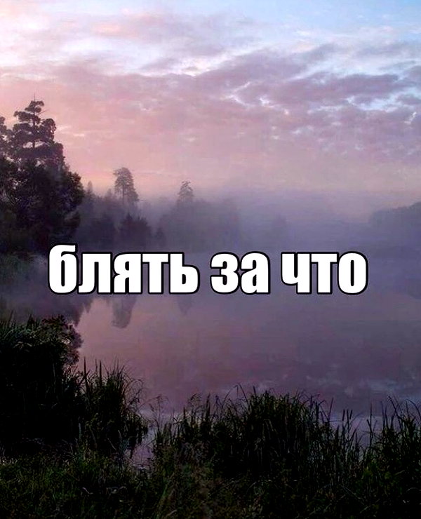alskohope instagram image archive image