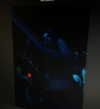 ayash.hila Altpins Profile Picture