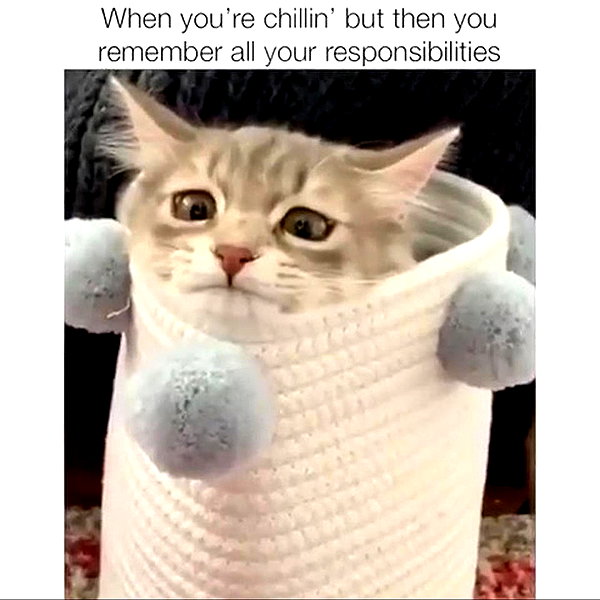 bad.toy instagram image archive image
