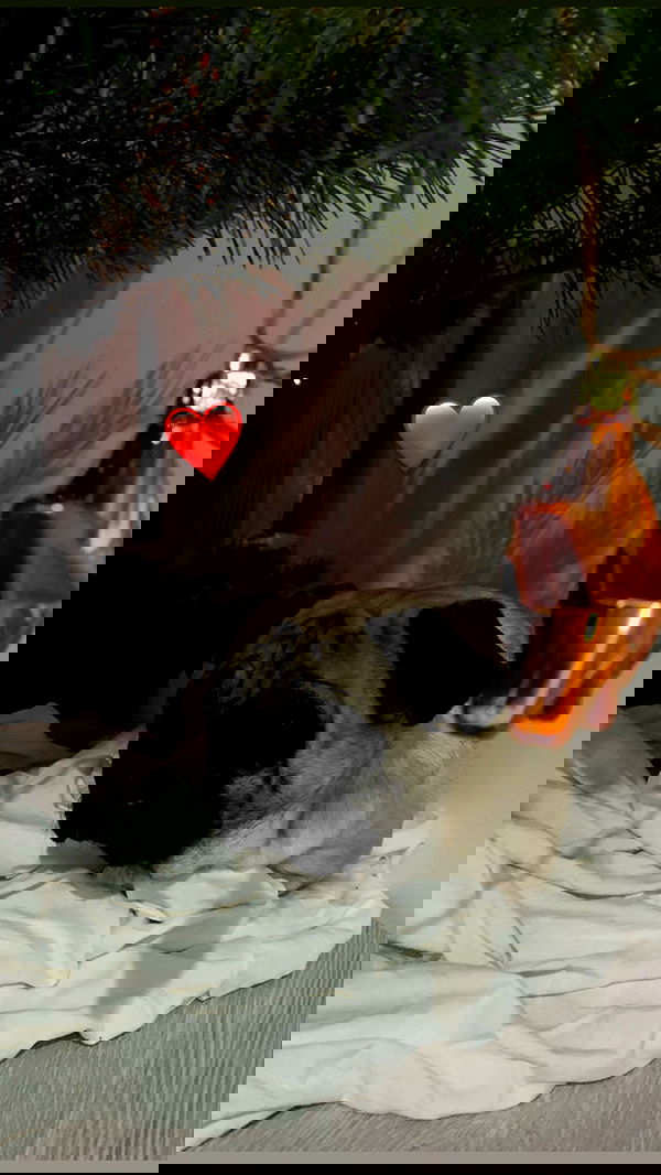 nyityam nyityam archive image