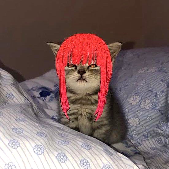 bakabakafuwa instagram image archive image