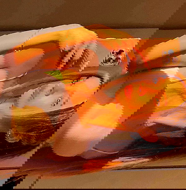 pinx_ir pinx_ir archive image