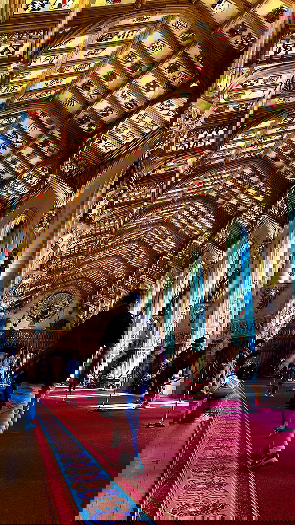 taylor.creeden taylor.creeden archive image