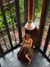 carolinezalog Altpins Profile Picture