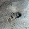 auddk_77 Altpins Profile Picture