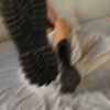 veroni22ka Altpins Profile Picture