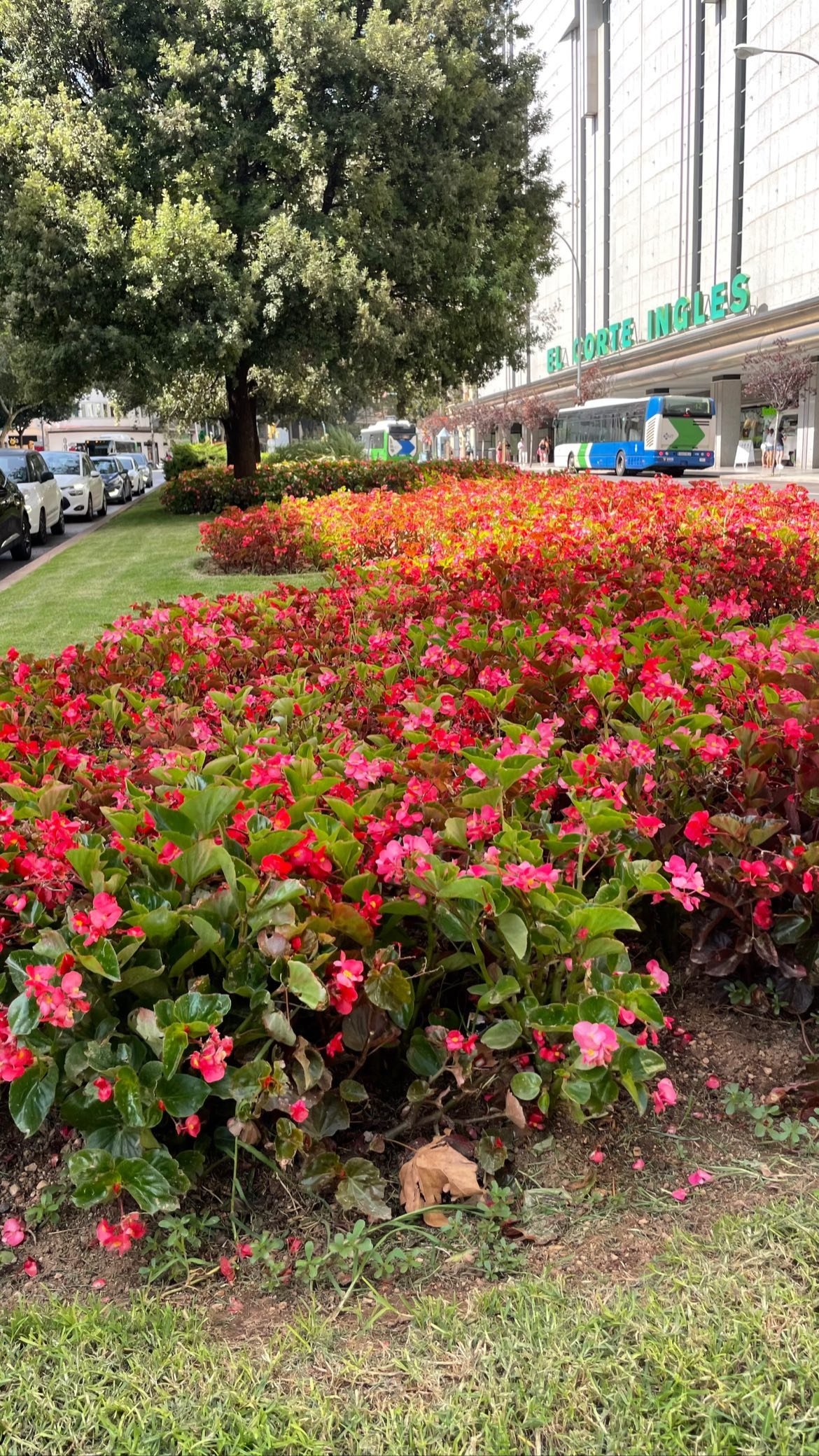 shunli__mei instagram image archive image