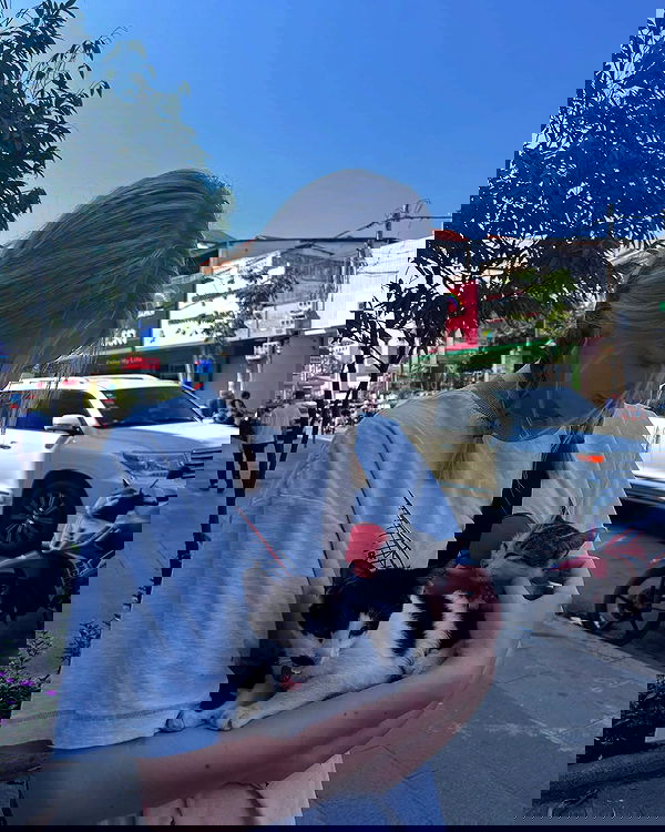 ellamwatts_ ellamwatts_ archive image