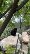 gissell_eli Altpins Profile Picture