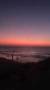 stav_menashe_ Altpins Profile Picture