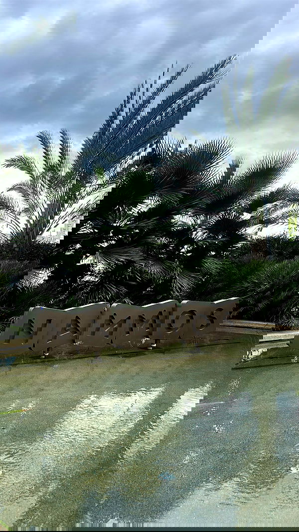 larin_manor1 larin_manor1 archive image