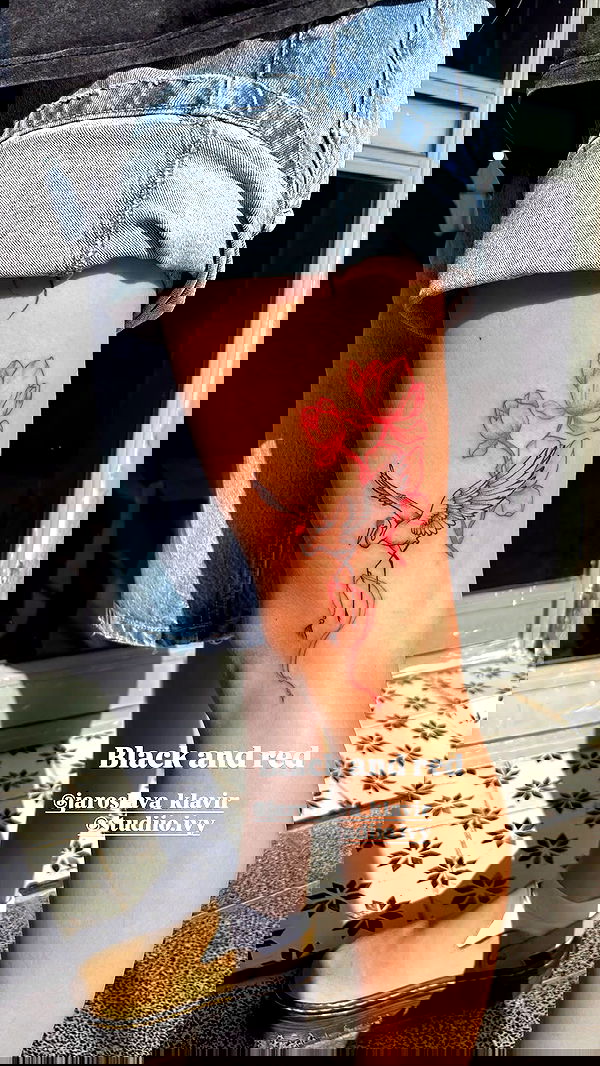 jaroslava_klavir jaroslava_klavir archive image