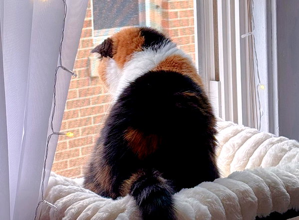 mewisa instagram image archive image
