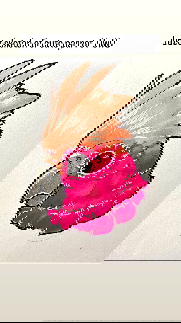 swfx_real swfx_real archive image