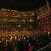 adele Altpins Profile Picture