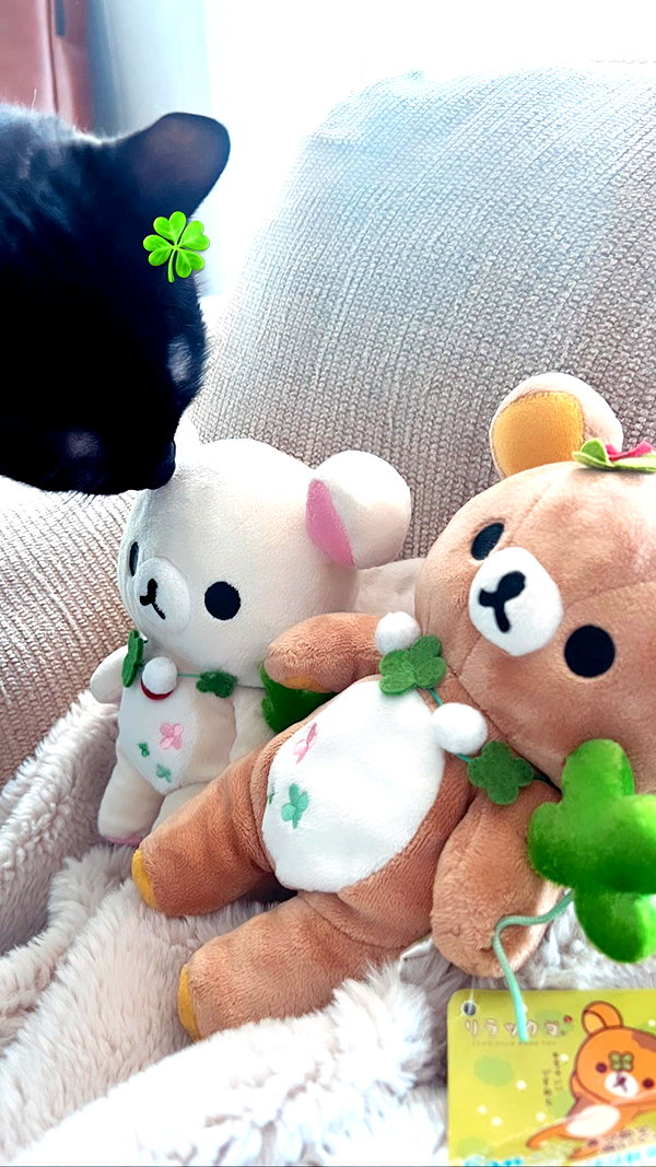 twodollie instagram image archive image