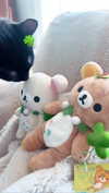 twodollie Altpins Profile Picture