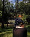 macaroni_naomi Altpins Profile Picture