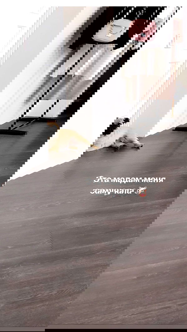 nyityam nyityam archive image