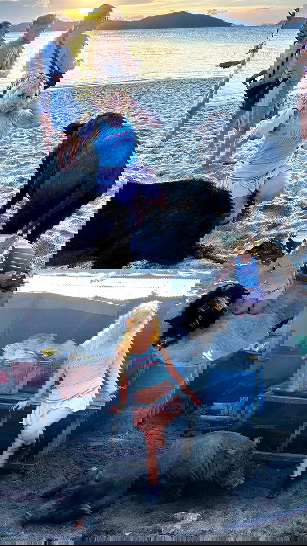 ormosheee ormosheee archive image