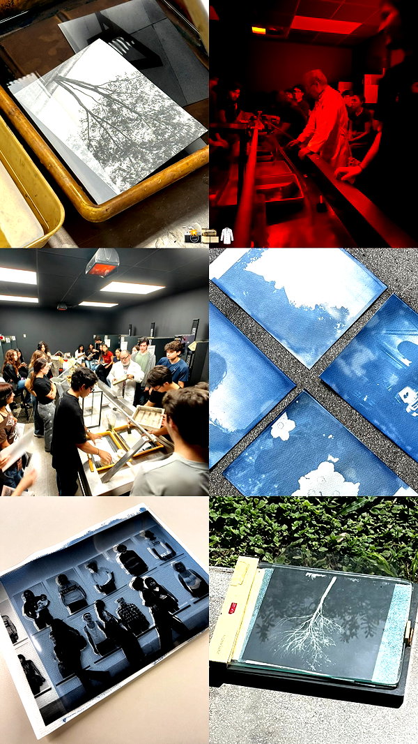 maruliners archive image