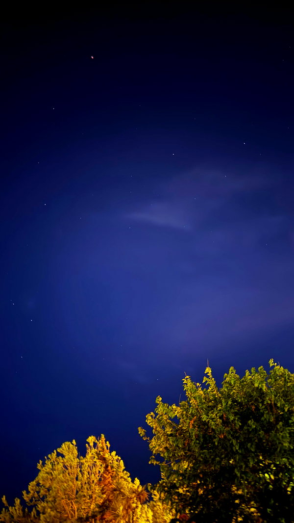 ekanve instagram image archive image