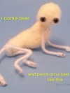 iamm3dusa Altpins Profile Picture