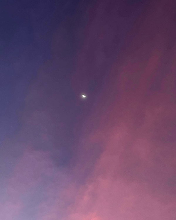 lerkamiill instagram image archive image