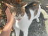 marlene_808 Altpins Profile Picture