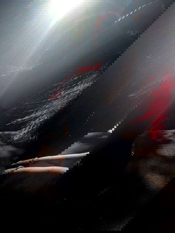 zommmbri zommmbri archive image