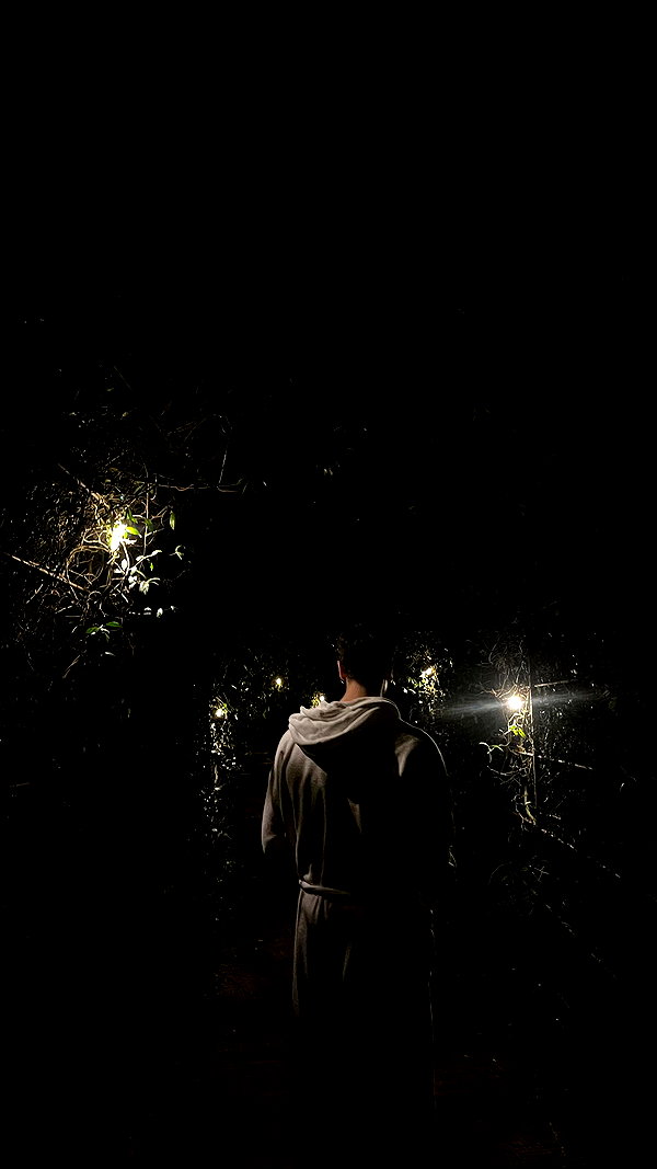 federica.piccinni instagram image archive image