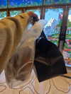 ro_bbin123 Altpins Profile Picture