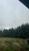 daisy_r_19 Altpins Profile Picture