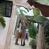 shira_adar_ Altpins Profile Picture