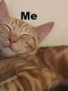 lola.luvgood Altpins Profile Picture