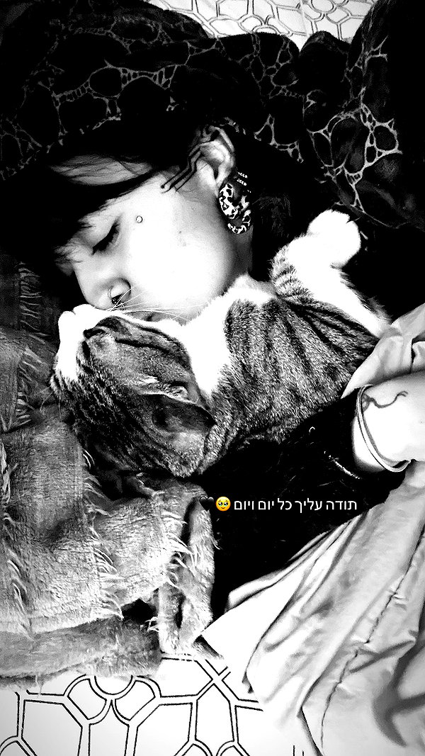 shaharo__._ instagram image archive image