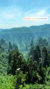 nikoleta.milenova Altpins Profile Picture