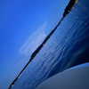 luucifina Altpins Profile Picture