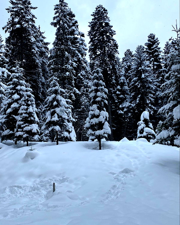 lila.garnik instagram image archive image