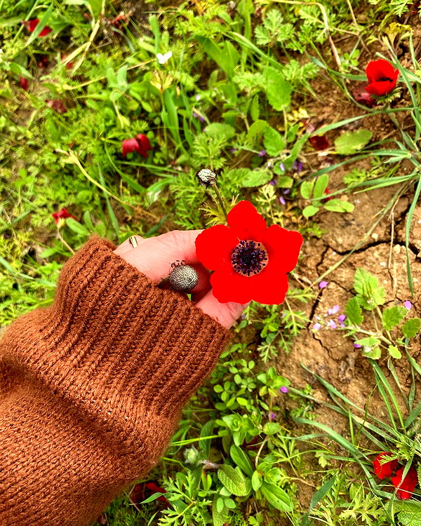 lila.garnik instagram image archive image