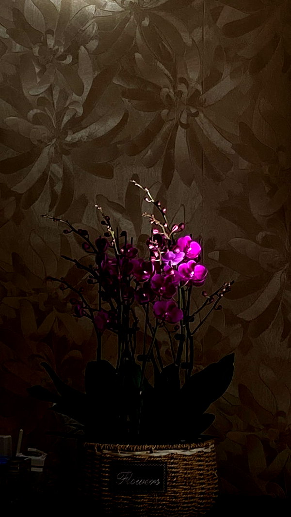 basakerrrrr instagram image archive image