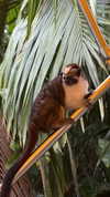 nina.kxs Altpins Profile Picture